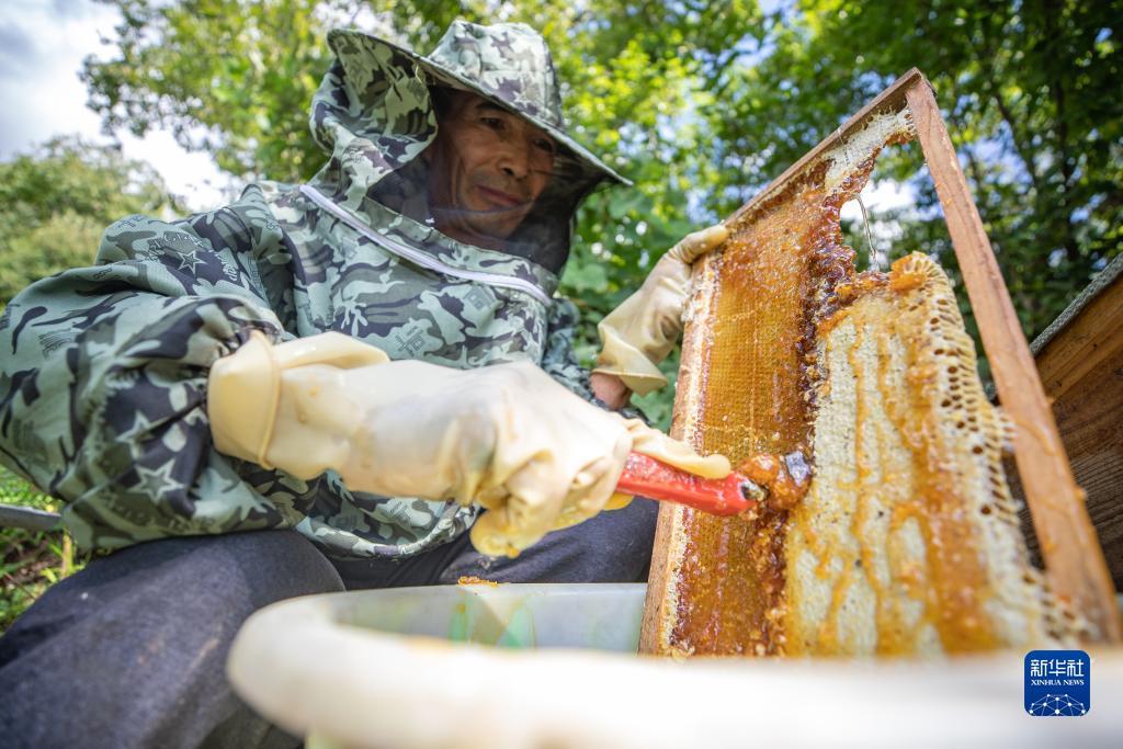 捕鱼游戏赚钱换人民币是真的
